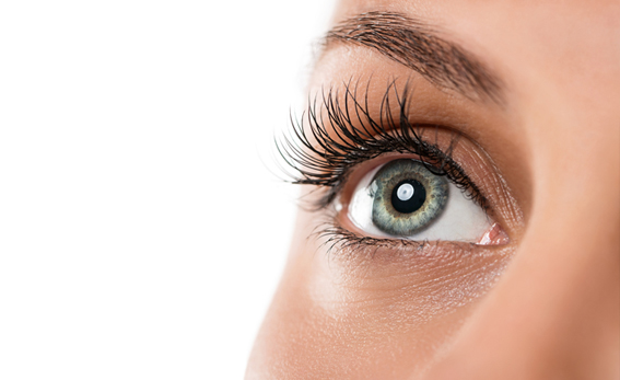 Wimpernverlängerung